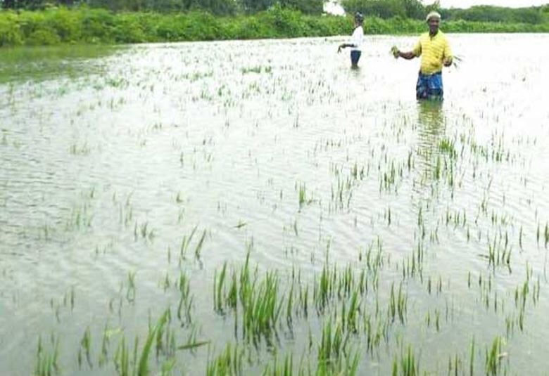 மழை பாதிப்பு பற்றி ஆய்வு செய்ய தமிழகம் வருகிறது மத்திய குழு!