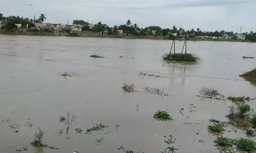 2,600 வீடுகள், 700 கால்நடைகள் பலி !கடலூரை புரட்டி போட்ட வெள்ள பாதிப்பு - கைகட்டி நிற்கும் தி.மு.க !