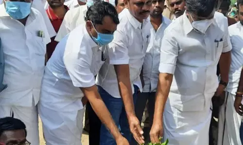 முதலமைச்சர் ஸ்டாலின் ராசிக்கு ஏற்ற மரக்கன்றை நட்ட அமைச்சர் சாமிநாதன்!