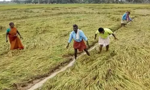 தமிழகத்தில் மழை வெள்ள பாதிப்புகள்: மத்திய குழுவினர் 2வது நாளாக ஆய்வு!