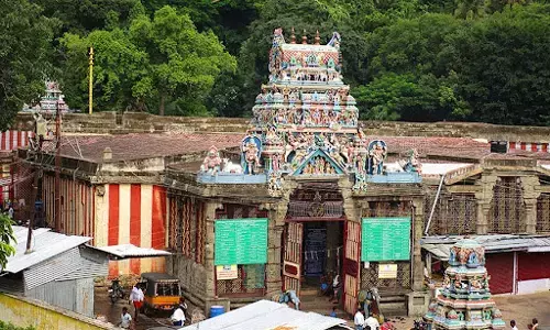 ஒவ்வொரு பலாசுளையும் லிங்க வடிவிலேயே காய்க்கும், தமிழகத்தின் அதிசய சிவாலயம் !