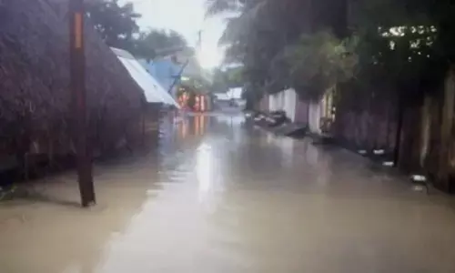 பாகூர் பகுதியில் தொடர் மழை எதிரொலி: தீவுகளாக மாறிய குடியிருப்புகள்!