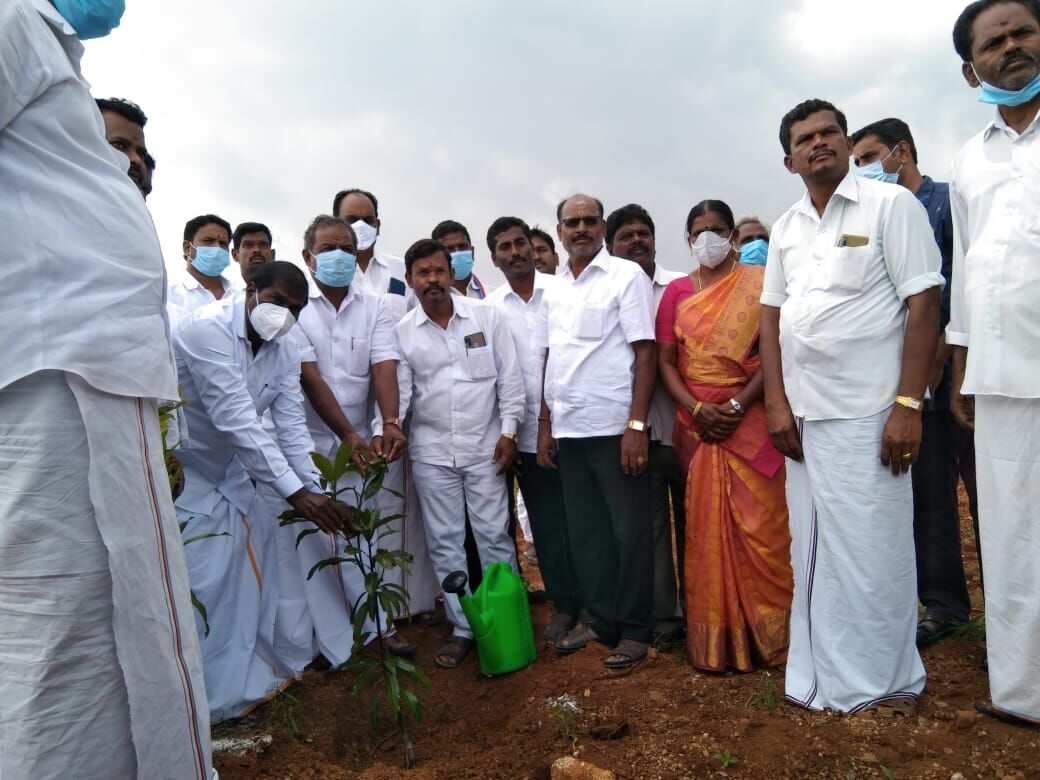 தருமபுரி: 110 நாளில் 10 ஆயிரம் மரக்கன்றுகளை நட்டு சாதித்த ஊராட்சி மன்றத் தலைவர்!