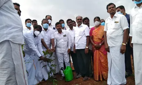 தருமபுரி: 110 நாளில் 10 ஆயிரம் மரக்கன்றுகளை நட்டு சாதித்த ஊராட்சி மன்றத் தலைவர்!