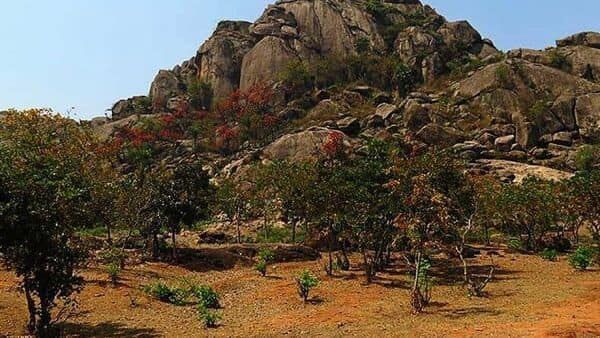 முதல் கடற்கரை அதுவும் உலகளவில் இந்தியாவில் தான் உள்ளதா? ஆனந்த் மகேந்திரா கருத்து !