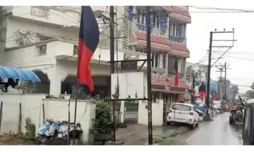 கே.என்.நேருவை வரவேற்க ஆடம்பரம் - தி.மு.க கொடி கம்பம் சாய்ந்ததில் மூக்கு உடைந்த மாணவி !