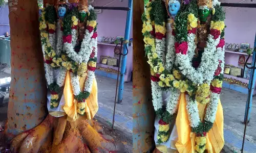 தருமபுரி அருகே அரசு, வேம்பு மரம் திருக்கல்யாண விழா!