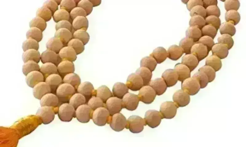 துன்பங்கள் போக்கும் துளசி மாலை! அவை அளிக்கும் அதிசய பலன்கள் !