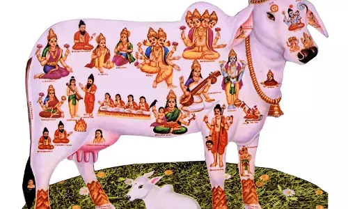 பொருளாதார சிக்கல் தீர காமதேனுவை வீட்டில் வழிபடுவது எப்படி?