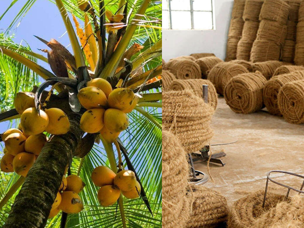 கொங்கு மண்டலத்தில் தென்னை நார் தொழிலை அழித்த தி.மு.க. அரசு: ஒரு லட்சம் பெண்கள் வேலையிழக்கும் அபாயம்!