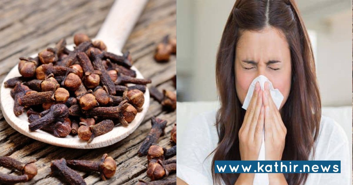 பல் பிரச்சனைகளை மட்டுமல்ல, புற்றுநோய் தீர்க்கும் கிராம்பு!