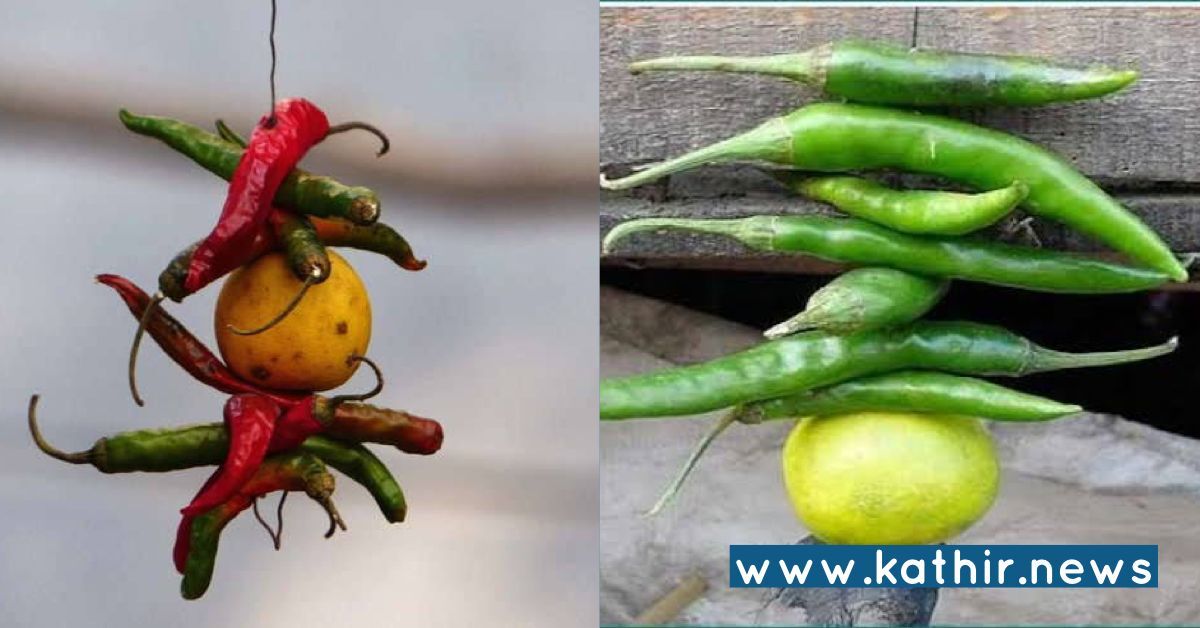 திருஷ்டி கழிக்க எலும்பிச்சையை பயன்படுத்துவது ஏன்? ஆச்சர்ய தகவல்!