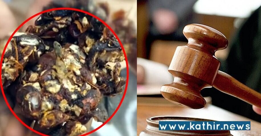 பொங்கல் தொகுப்பில் பல்லி இறந்ததை சுட்டிக்காட்டிய முதியவர் மீது வழக்குப் பதிவு !