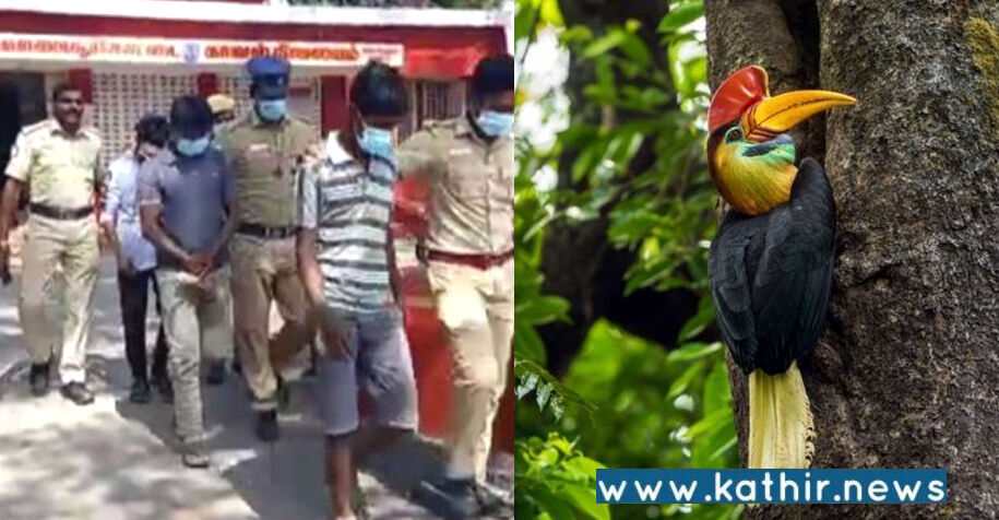 கள்ளக்குறிச்சி: சட்டவிரோதமாக துப்பாக்கி வாங்கி பறவைகளை வேட்டையாடும் கும்பலை தூக்கிய போலீஸ்!