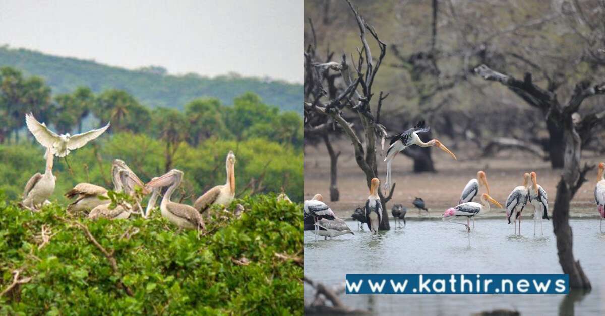 இணையத்தில் வைரலாகும் தமிழக சரணாலயத்தின் அற்புத வீடியோ!