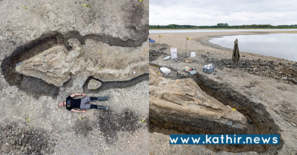 உலகில் கடல் டிராகன் வாழ்ந்தது உண்மையா? கண்டுபிடிப்பின் புதிய திருப்புமுனை!