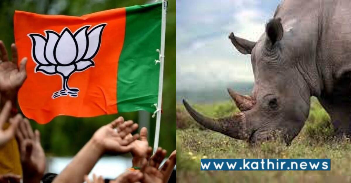 காங்கிரஸ் ஆட்சியில் ஒற்றைக்கொம்பு காண்டாமிருகங்கள் கொலை: பா.ஜ.க-வினால் நிகழ்ந்த அதிசயம்!