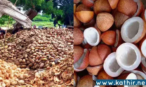 தி.மு.க. அரசு ஒத்துழைப்பு வழங்கவில்லை: கண்ணீர் வடிக்கும் தென்னை விவசாயிகள்!