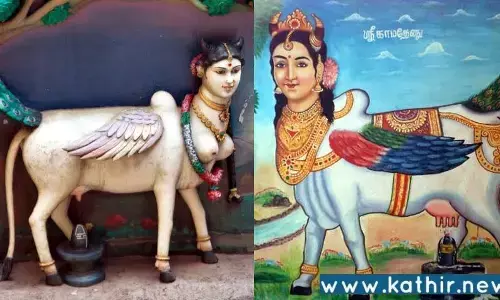 காமதேனுவிற்கு சாப விமோசனம் கிடைத்த ஆச்சர்யமூட்டும் பசுபதீஸ்வரர் ஆலயம்