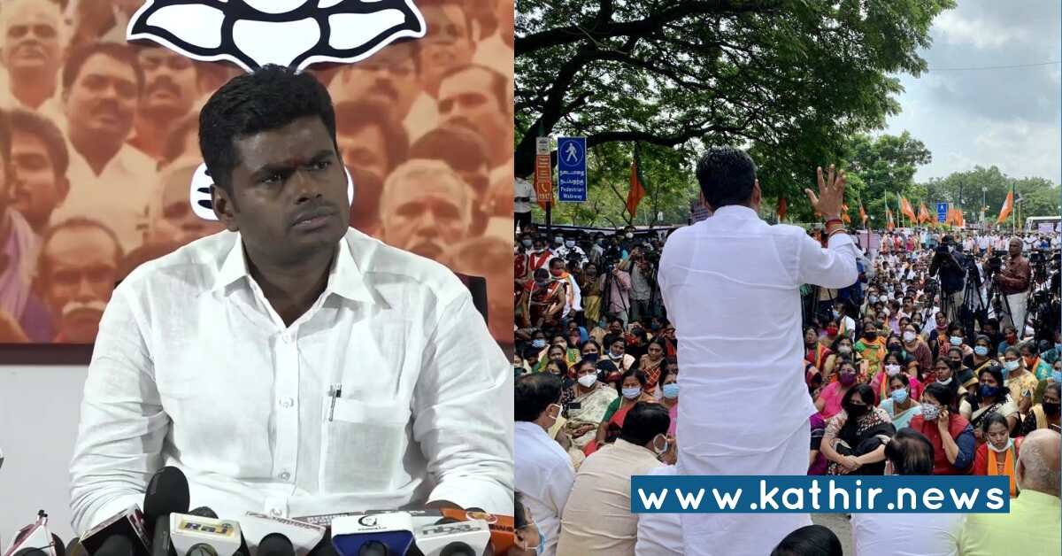 பா.ஜ.க தனித்து போட்டி - அண்ணாமலையின் அதிரடி முடிவு