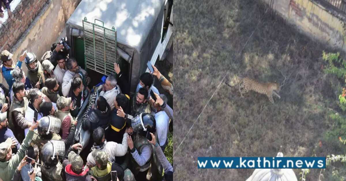 NRI கிராமத்தில் நுழைந்த சிறுத்தைப்புலி: 15 மணி நேர போராட்டத்திற்கு பிறகு மீட்பு!