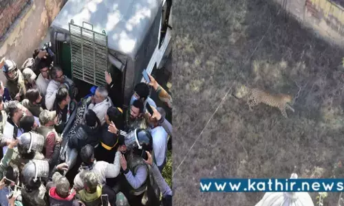 NRI கிராமத்தில் நுழைந்த சிறுத்தைப்புலி: 15 மணி நேர போராட்டத்திற்கு பிறகு மீட்பு!