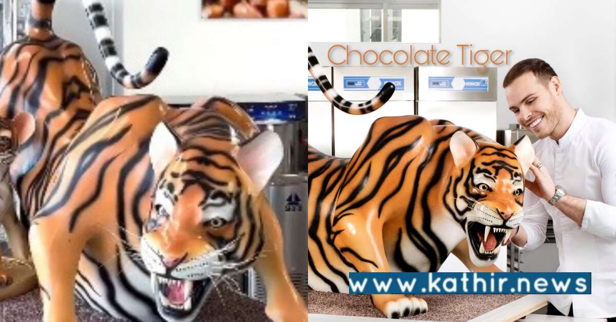 வித்தியாச முயற்சியாக சாக்லெட் புலியைப் வடிவமைத்த சமையல் கலைஞர்!