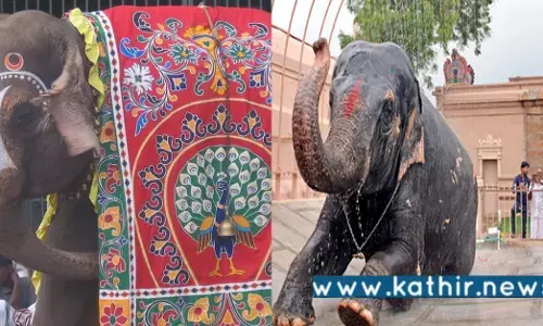 தகுந்த காரணம் இல்லாமல் கோவில் யானைகள் இடமாற்றம்: பா.ஜ.க போராட்டம்!