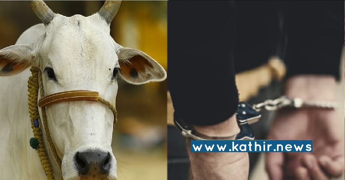 உச்சகட்ட அழிச்சாட்டியம்! பசு மாட்டை பாலியல் பலாத்காரம் செய்த ஜுபைர் மற்றும் சுனா - அம்பலப்படுத்திய வீடியோ!