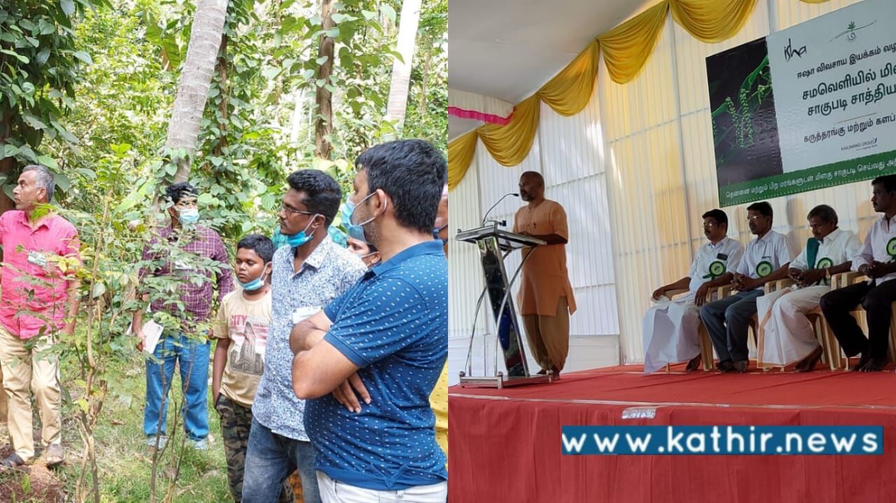 மிளகு சாகுபடி மூலம் 50 ஆயிரம் முதல் 5 லட்சம் வரை லாபம் ஈட்டலாம், ஈஷா நடத்திய பயிற்சியில் முன்னோடி விவசாயிகள் தகவல்!