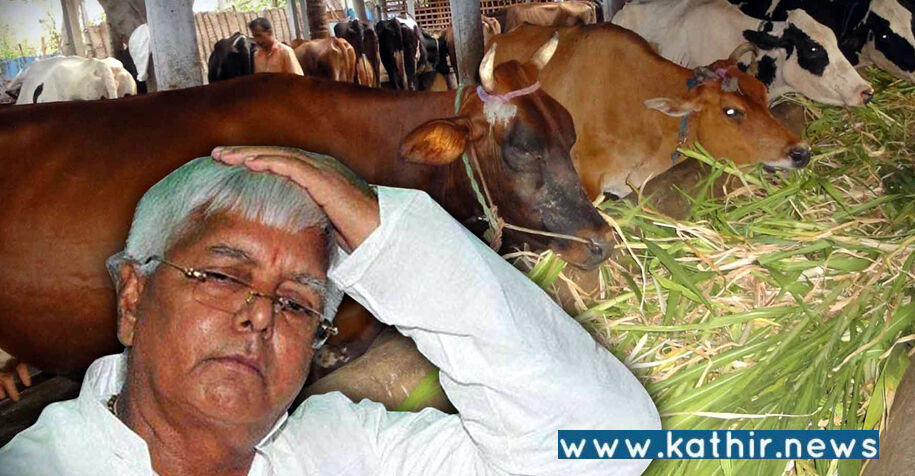 கால்நடை தீவன ஊழல்: லாலுவுக்கு 5 ஆண்டு சிறை தண்டனை விதித்த சி.பி.ஐ. சிறப்பு நீதிமன்றம்!