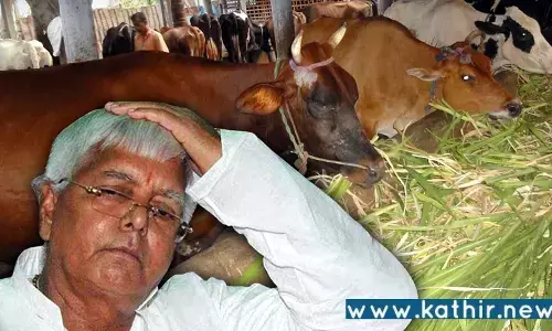 கால்நடை தீவன ஊழல்: லாலுவுக்கு 5 ஆண்டு சிறை தண்டனை விதித்த சி.பி.ஐ. சிறப்பு நீதிமன்றம்!