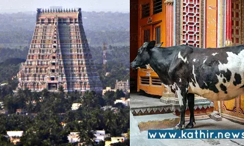 தமிழக கோயிலுக்கு தானமாக வழங்கும் மாடுகள் அடிமாட்டுக்கு விற்கும் அவலம்?