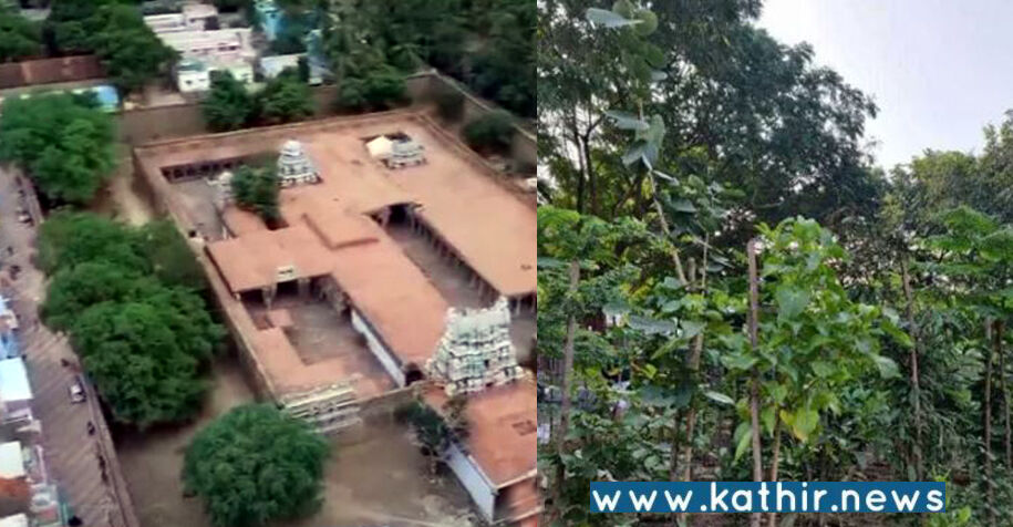 நெல்லை: கோயிலில் பக்தர்களே மீட்டெடுத்த நந்தவனம்!