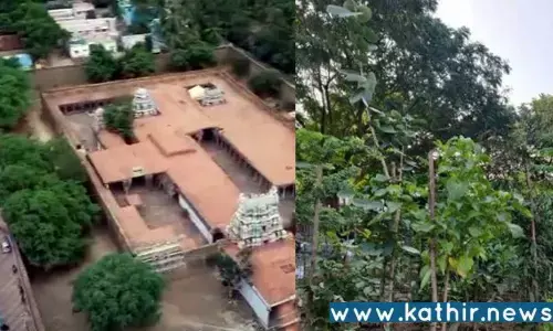 நெல்லை: கோயிலில் பக்தர்களே மீட்டெடுத்த நந்தவனம்!