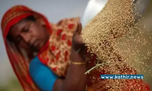 பெருந்தொற்று சவால்களுக்கு இடையிலும் 50 பில்லியன் அமெரிக்க டாலரை தாண்டிய வேளாண் ஏற்றுமதி - மத்திய அரசின் சக்சஸ் பிளான்! பெருந்தொற்று சவால்களுக்கு இடையிலும் 50 பில்லியன் அமெரிக்க டாலரை தாண்டிய வேளாண் ஏற்றுமதி - மத்திய அரசின் சக்சஸ் பிளான்!