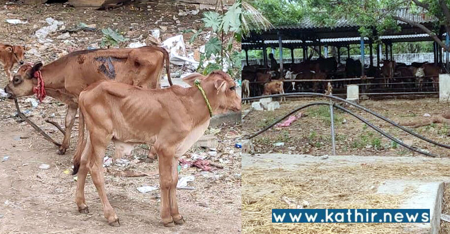 இஸ்லாமியர் நடத்தும் சட்டவிரோதமாக மாட்டிறைச்சி கூடம்: இந்து முன்னணி புகாரால் தடுத்து நிறுத்தம்!