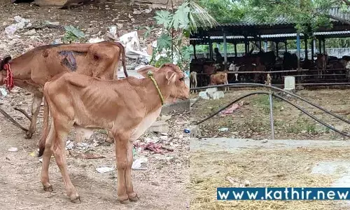 இஸ்லாமியர் நடத்தும் சட்டவிரோதமாக மாட்டிறைச்சி கூடம்: இந்து முன்னணி புகாரால் தடுத்து நிறுத்தம்!