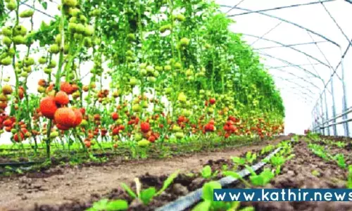 தோட்டக்கலை விவசாயிகளுக்கு ரூ.59 லட்சம் மானியம் வழங்கி புதுச்சேரி அரசு உத்தரவு!