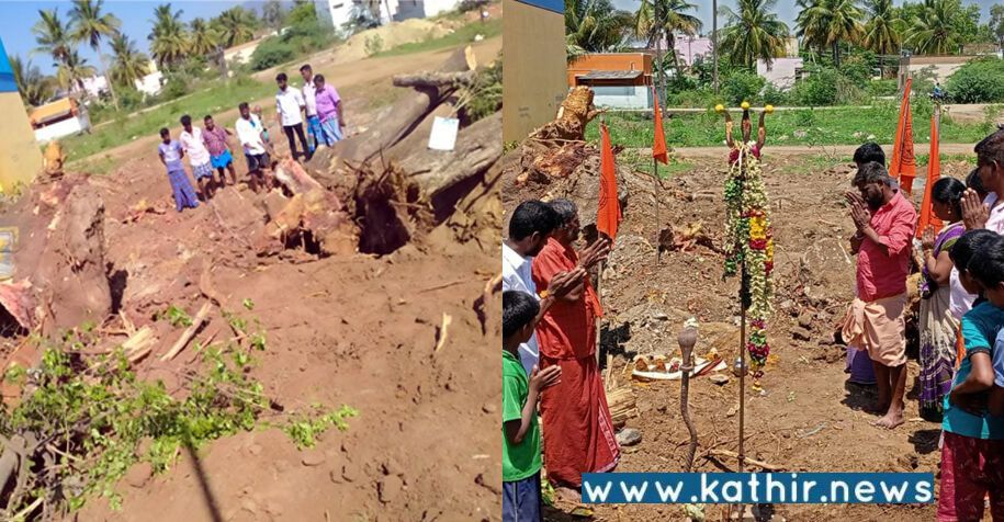 சேலத்தில் அதிர்ச்சி: 300 ஆண்டுகள் பழமை வாய்ந்த மரங்கள் மற்றும் கருப்பசாமி சிலை அகற்றம்!