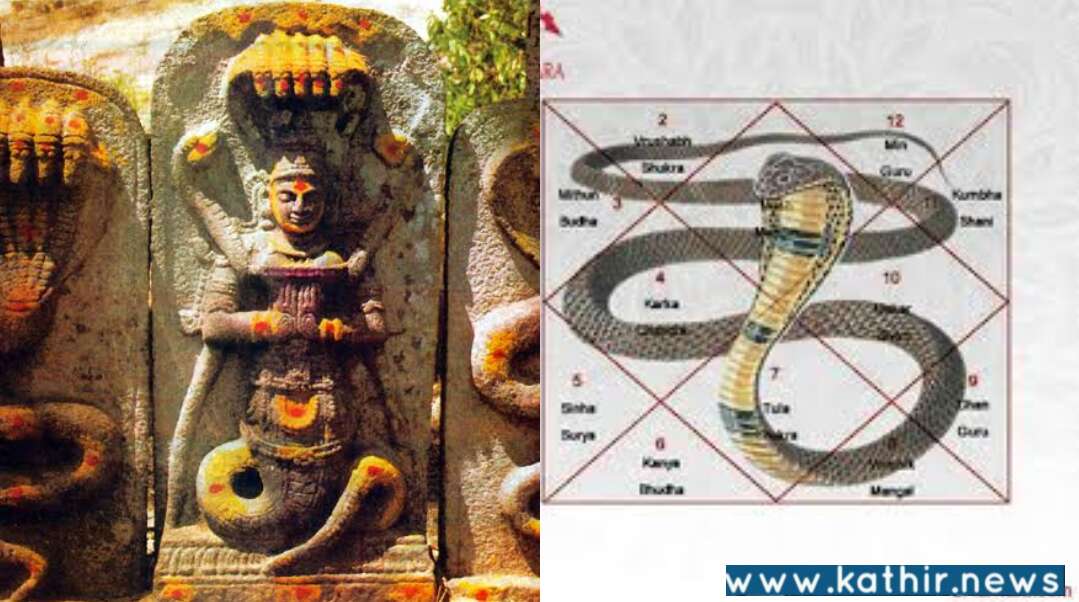 காலசர்ப தோஷம் நேர்வது ஏன்? நிவர்த்தியாக செய்ய வேண்டிய பூஜை என்ன?