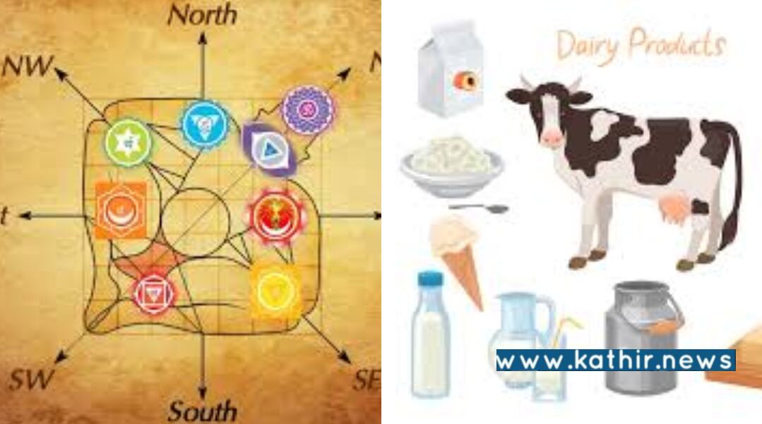 வாஸ்து தோஷத்தை நீக்க பசுவின் இந்த பொருட்களை பயன்படுத்தினால் போதும்!