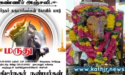 கோயில் ஜல்லிக்கட்டு காளை உயிரிழப்பு: கண்ணீர் அஞ்சலி போஸ்டருடன் இறுதிச்சடங்கு!