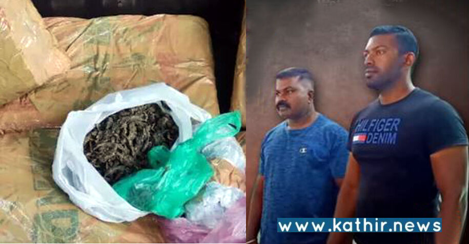 மும்பையில் எஸ்.ஐ., கணவர்: தமிழகத்தில் கஞ்சா வியாபாரி: போலீசாரிடம் சிக்கியது எப்படி!