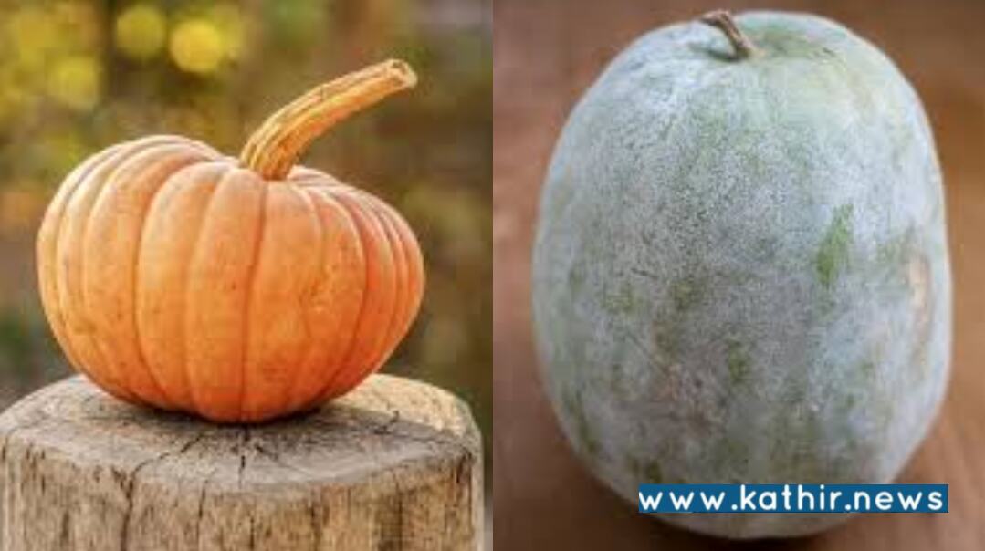 எத்தனையோ காய்கனிகளிருக்க வீட்டின் முன் திருஷ்டிக்கு பூசணிக்காயை கட்டுவது ஏன்?