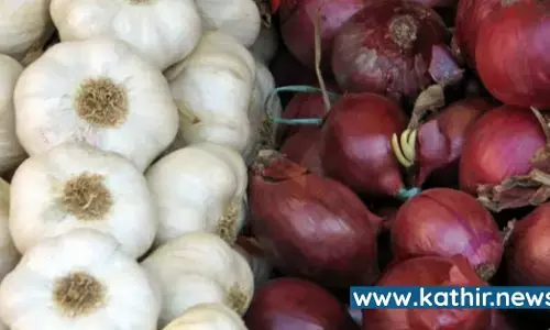 நம் மரபில் விரதத்தின் போது பூண்டும் வெங்காயமும் தவிர்க்கப்படுவது ஏன்?