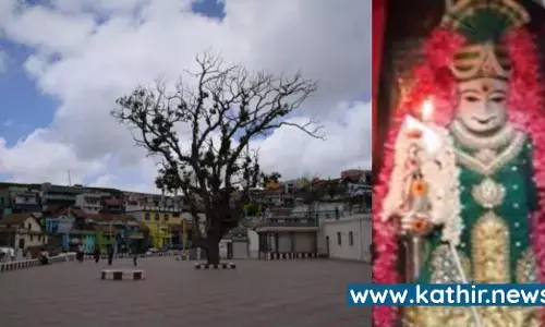 பழனிக்கு அடுத்ததாக நவபாசன சிலை பிரதிஷ்டை செய்யப்பட்ட அதிசய பூம்பாறை வேலப்பர் ஆலயம்!