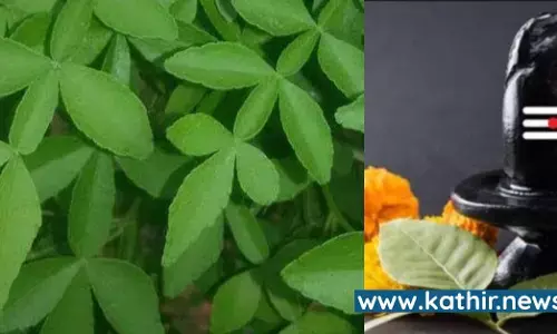 சிவபெருமானுக்கு  இந்த இலையை அர்ப்பணிப்பதால் ஏற்படும் ஆச்சர்ய நன்மைகள்