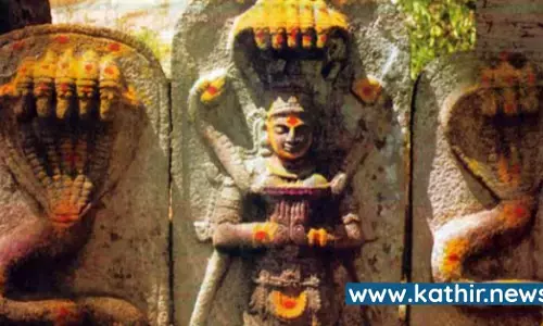 கனவில் பாம்புகளா? அவை உணர்த்தும் பலன்கள் என்ன? ஆச்சர்ய தகவல்