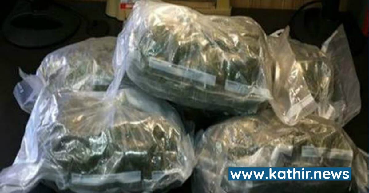 இன்ஸ்டாகிராமில் கல்லூரி மாணவர்களுக்கு கஞ்சா விற்பனை - மதுரையில் கஞ்சா நெட்வொர்க்